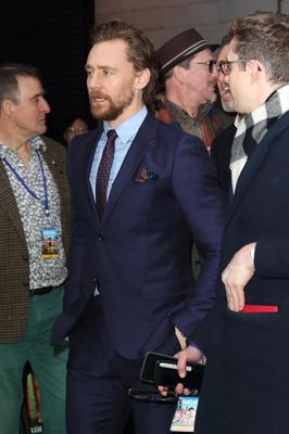 Tom Hiddleston Poster 2959417
