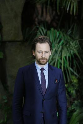 Tom Hiddleston Poster 2959418