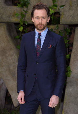 Tom Hiddleston Poster 2959420