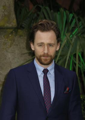 Tom Hiddleston Poster 2959423