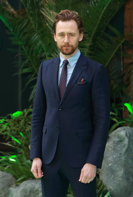 Tom Hiddleston Poster 2959424