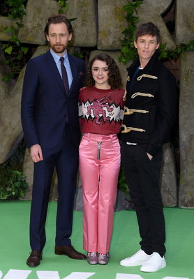 Tom Hiddleston Poster 2959427