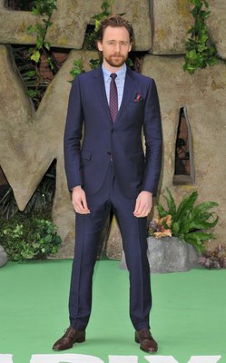Tom Hiddleston Poster 2959447