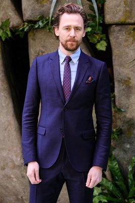 Tom Hiddleston Poster 2959468