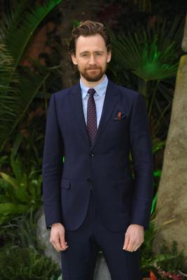 Tom Hiddleston Poster 2959474