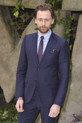 Tom Hiddleston Poster 2959481