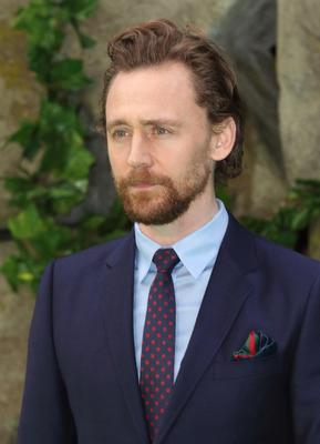 Tom Hiddleston Poster 2959491