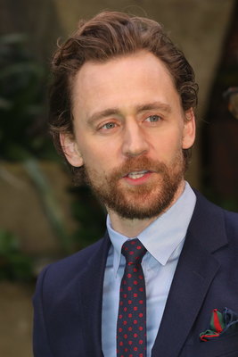 Tom Hiddleston Poster 2959504