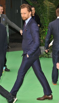 Tom Hiddleston Poster 2959509