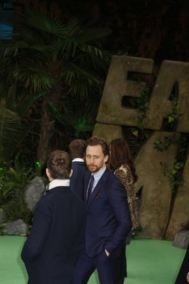 Tom Hiddleston Poster 2959515