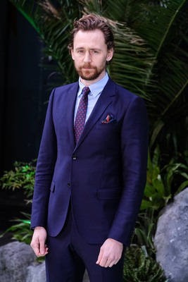 Tom Hiddleston Poster 2959522