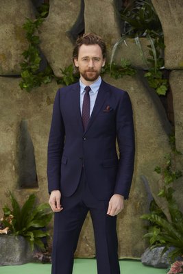 Tom Hiddleston Poster 2959526