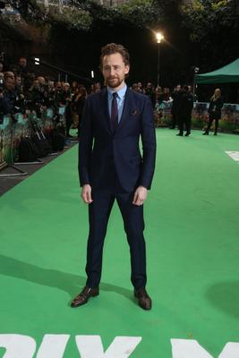 Tom Hiddleston Poster 2959528