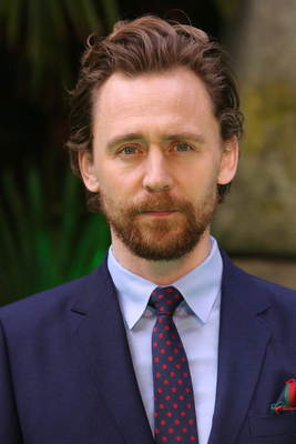 Tom Hiddleston Poster 2959541