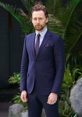 Tom Hiddleston Poster 2959572
