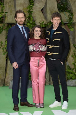 Tom Hiddleston Poster 2959576