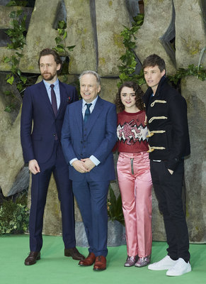 Tom Hiddleston Poster 2959606