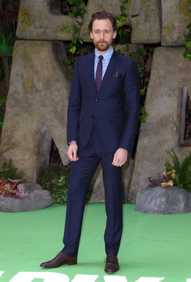 Tom Hiddleston Poster 2959613