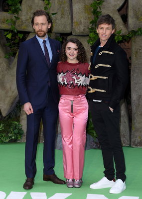 Tom Hiddleston Poster 2959642