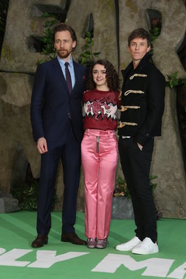 Tom Hiddleston Poster 2959655