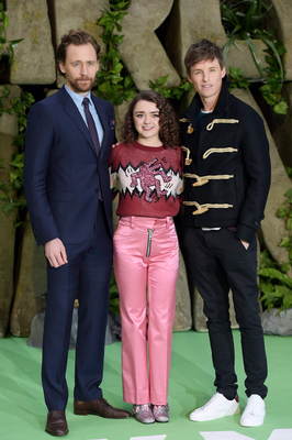 Tom Hiddleston Poster 2959685