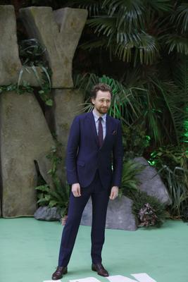 Tom Hiddleston Poster 2959714