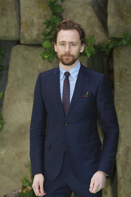 Tom Hiddleston Poster 2959725