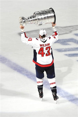 Tom Wilson Poster 3560656