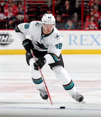 Tomas Hertl Poster 3563537