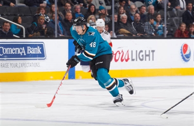 Tomas Hertl Poster 3563540