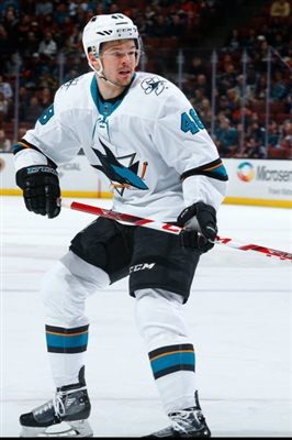 Tomas Hertl Poster 3563541