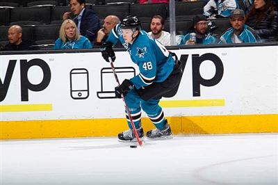 Tomas Hertl Poster 3563542