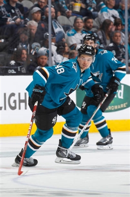 Tomas Hertl Poster 3563543