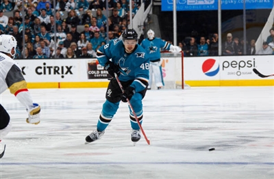 Tomas Hertl Poster 3563549