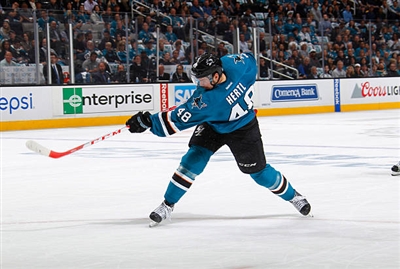 Tomas Hertl Poster 3563554