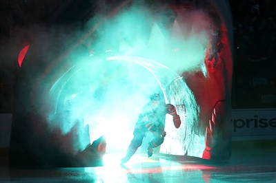 Tomas Hertl Poster 3563558