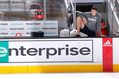 Tomas Hertl Poster 3563560