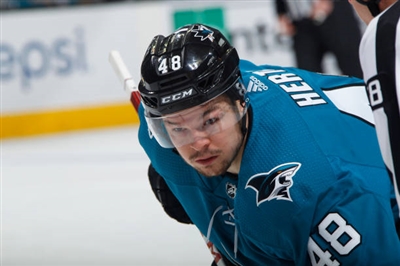 Tomas Hertl Poster 3563567