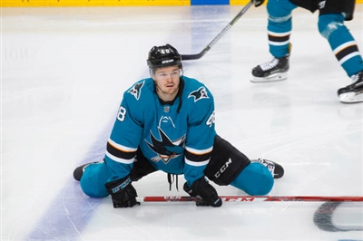Tomas Hertl Poster 3563572
