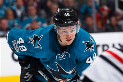 Tomas Hertl Poster 3563573