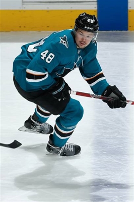 Tomas Hertl Poster 3563578