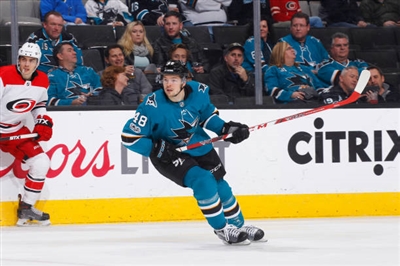 Tomas Hertl Poster 3563579