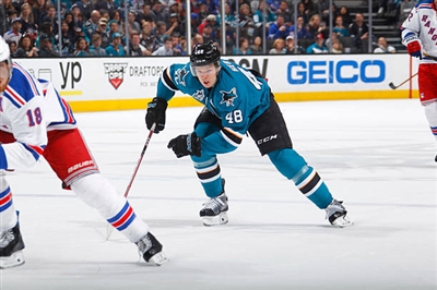 Tomas Hertl Poster 3563584