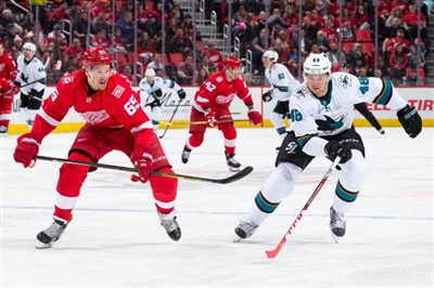 Tomas Hertl Poster 3563597