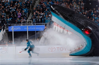 Tomas Hertl Poster 3563598
