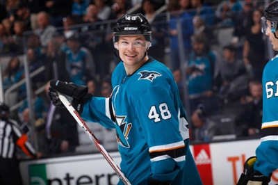 Tomas Hertl Poster 3563600