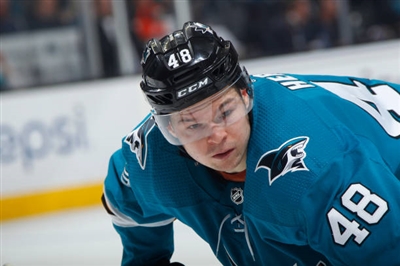 Tomas Hertl Poster 3563606