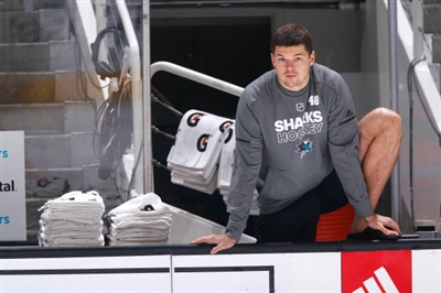Tomas Hertl Poster 3563607