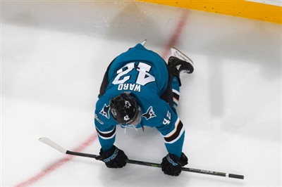 Tomas Hertl Poster 3563608
