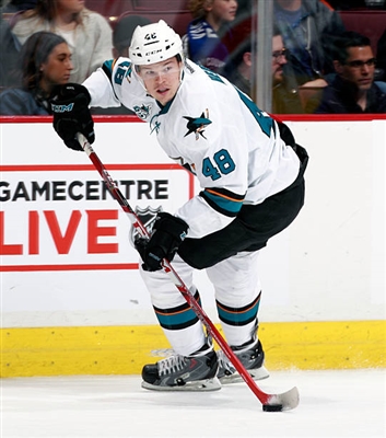 Tomas Hertl Poster 3563609